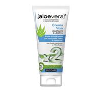 Zuccari Crème visage Aloe Vera – Hydratante et apaisante – 50 ml