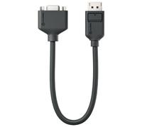 ALOGIC EL2DPVGA-ADP câble vidéo et adaptateur 0,2 m DisplayPort VGA (D-Sub) Noir