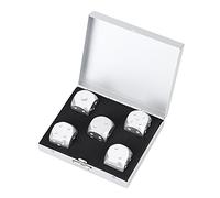 Alomejor 5pcs Jeu de dés 6 Faces Set de dés avec boîte de Rangement(Boîte carrée argentée)