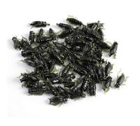 Alomejor Appât de Pêche en PVC Souple, Faux Insectes de Grillon Verts, Leurre de Poisson Réaliste 100 Pièces pour les Amateurs de Pêche à la Carpe