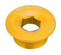 Alomejor Boulons de manivelle de vélo Couvercle de manivelle en Alliage d'aluminium Couvercle de manivelle Couvercle de pédalier de vélo 20mm(Or)