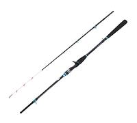 Alomejor Canne à Pêche en Carbone Légère avec Poignée EVA Antidérapante, Anneau Supérieur Lumineux pour la Pêche en Rivière et en Bateau (1.65M)