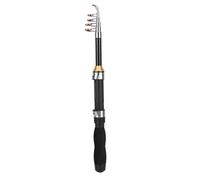 Alomejor Canne à pêche portable petite mer courte mini outils de pêche en mer canne à pêche télescopique pour voyage pêche à la truite au bar d'eau douce en eau de mer(1,2 m)