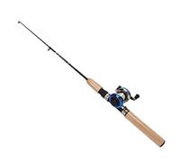 Alomejor Canne à Pêche sur Glace, Matériau Durable, Ensemble de Pêche Complet d'une Longueur de 27,6 Pouces pour Les Débutants et Les Familles