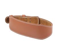 Alomejor Ceinture D'haltérophilie de Sport, Large Support de Taille Durable pour Rameur, Squat, soulevé de Terre, Ceinture de Fitness pour équipement D'entraînement de Gym et Sports de Plein Air,