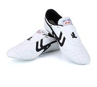 Alomejor Chaussures de Sport Légères pour Arts Martiaux - Sneakers Polyvalentes pour Taekwondo, Boxe, Karaté, Kung-fu, Tai-chi - Design Respirant et Confortable pour Entraînement Intensif (Taille 42)