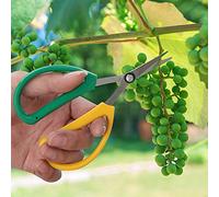 Alomejor Ciseaux de Taille en Acier Inoxydable, Floral Tranchant, Sécateur à Main pour Jardiniers, Couleur Claire 5.70 "X 3.34" X 1.25 ", 1 Pièce