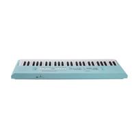 Alomejor Clavier électronique 54 Touches, Piano Portable en Plastique pour Enfants avec Microphone, 8 Tonalités, 6 Chansons, 5 Rythmes, Jouet Musical éducatif pour Garçons et Filles de 3 (BLUE)