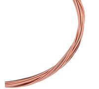 Alomejor Cordes de Guitare Folk Acoustique en Cuivre et Laiton - Noyaux en Acier Inoxydable Durables - Excellentes Résonances pour les Musiciens Folk - Cordes en Acier à 6