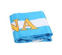 Alomejor Écharpe de Football de la Coupe du Monde 2022, écharpe de Fan de L'équipe Nationale de Football pour la Commémoration de la Coupe du Monde au Qatar (Argentine)