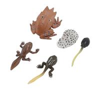 Alomejor Ensemble de Jouets de Modèle Animal, Cycle de Croissance en PVC Jouet Figure éducative pour Décoration Intérieure D'activités d'apprentissage Préscolaire
