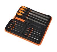 Alomejor Ensemble de Limes Professionnelles 18 Pièces, Outil pour Bois et Métal, Acier T12, Poignée Ergonomique en Caoutchouc, Mallette de Rangement Compacte