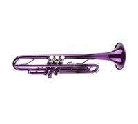 Alomejor Ensemble de Trompettes, Instrument de Musique en Laiton Bb avec Embout Amovible, pour un Ton Clair et une Longue Durée de Vie, Comprend un Sac de Rangement (PURPLE)