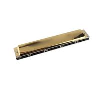Alomejor Harmonica, Instrument de Musique Professionnel Tremolo Harmonica 24 Trous (A#)