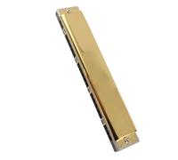 Alomejor Harmonica Professional Orgue Polyphonique à 24 Trous avec Roseau en Bronze Phosphoreux et Peigne en Résine ABS pour Débutants (G)