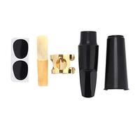 Alomejor Kit Embouchure Saxophone Alto 5 en 1, Embouchure ABS avec Couvre-Bec, Ligature Métallique, Protection Dents