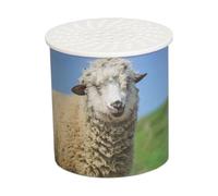 Alomejor Machine Sonore, Jouet de Création de Sons de Mouton, Simulateur électrique de Reconnaissance d'animaux pour L'éducation Précoce des Bébés et Jeux de Farces Amusants