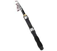 Alomejor Mini Canne à pêche de Poche Canne à pêche Stylo pour la pêche en mer Pêche en Eau Douce en Eau de mer extérieure(1.5M)