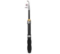 Alomejor Mini Canne à pêche,Portable Stylo Poche 1M,Canne pêche mer Eau Douce for débutants Voyageurs familles en Bord de mer lac rivière Parc