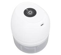 Alomejor Mini Hachoir à Ail électrique, Compact et Portable, Hachoir à Oignon de Cuisine pour la Maison ou les Voyages, Matière Plastique Sûre (WHITE)
