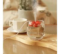 Alomejor Mini Pulvérisateur Hydratant Portatif D'atomiseur D'usb pour les Chambres à Coucher à la Maison Chambres D'enfants Bureaux ABS (rouge)