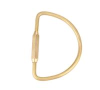Alomejor Mousqueton à Vis en Laiton, Crochet Porte-clés Durable pour Bricolage Camping Randonnée Activités de Plein Air (Forme D 58mm)