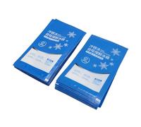 Alomejor Pack de Glace Réutilisable pour le Refroidissement des Aliments, Pack de Congélation Multifonctionnel pour L'aviation, Sacs de Glace 100 Pièces pour Boîtes à Déjeuner, Glacières de Plage