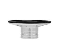 Alomejor Pince de Fixation pour Vinyle avec Construction en Alliage de | Réduction des vibrations, Matériau durable, Idéal pour les disques vinyles, Qualité sonore améliorée