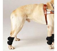 Alomejor Protecteur de Jambe pour Chien et Chat, Genouillères élastiques pour la Récupération des Orteils Chauds d'hiver S/M/L pour Animaux de Compagnie, Support Articulaire Noir, 2 Pièces (L)