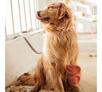 Alomejor Protecteur de Jambe pour Chien et Chat, Genouillères élastiques pour la Récupération des Orteils Chauds d'hiver S/M/L pour Animaux de Compagnie, Support Articulaire Noir, 2 Pièces (M)