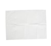 Alomejor Serviettes de Table Jetables pour Nail Art, 80 Pièces, Tapis Confortables pour la beauté des Ongles, Fournitures de Couverture de Plateau de Meulage (WHITE)