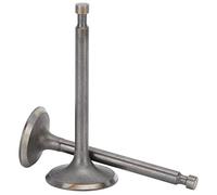Alomejor Soupapes D'échappement D'admission de Pièces de Rechange de Soupape de Moteur Durables pour L'élevage D'animaux GX420