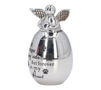 Alomejor Urne de Crémation pour Animaux de Compagnie, en Acier Inoxydable, Fermeture Sécurisée, d'amour pour Chien et Chat, Décoration D'étagère (Imprimé Griffe Grande Taille)