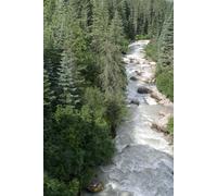 Alone But Not Empty: Reflections from a Montana Cabin on Love, Loss, & Living Alone