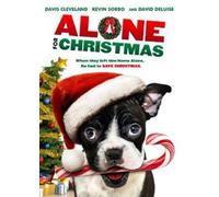 Alone for Christmas