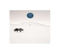 Alone Together - Vinyle