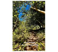 Along my Path: Lessons and Blessings