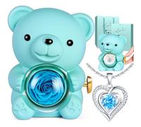 Aloskart Ours Rose Eternelle Cadeau pour Femme, Ourson Rose Eternel avec Collier, Cadeau Saint Valentin pour Femme, Cadeaux Anniversaire Femme, Cadeaux Fête des Mères pour Maman et Noël