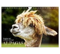 Alpagas, doudous aux coiffures sauvages (Calendrier mural 2027 DIN A4 vertical), CALVENDO calendrier mensuel: Des animaux en peluche dans les pâturages.
