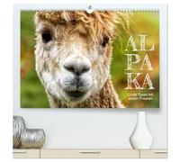 Alpaka, coole Typen mit wilden Frisuren (hochwertiger Premium Wandkalender 2026 DIN A2 quer), Kunstdruck in Hochglanz: Kuscheltiere auf der Weide