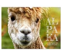 Alpaka, coole Typen mit wilden Frisuren (Wandkalender 2026 DIN A3 quer), CALVENDO Monatskalender: Kuscheltiere auf der Weide