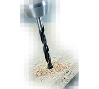 Alpen 22603200100CV Mèche à bois hélicoïdale de Machines, diamètre 3mm, L1, L233mm 61mm, 61600300100