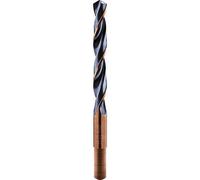 Alpen 64801950100 Foret Hélicoïdal S-Master DIN 338, Gris, 12,5 x 30 mm/19,5 mm