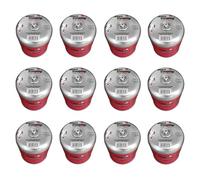Alpen Camping Lot de 12 cartouches de gaz 450 g EN 417 propane-butane filetage 7/16″ - Pour réchaud d'extérieur, camp de tente, voyage - Certifié PI 0437 - Utilisation de - 10 °C à + 40 °C (12 pièces)