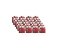 ALPEN CAMPING - Pack 24 Cartouches Gaz 190g Butane Propane Mix, Sécurité Stop Gaz Certifiée EN521, Recharge Universelle Perçable Type 200 pour Réchaud, Lampe à Souder & Camping