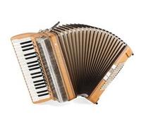 Alpenklang Pro IV 96 M accordéon Aulne G