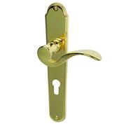 Alpertec de porte en laiton poli panda-lS poignée de porte pour wohnungseingangstüren pZ, 32217003 r de la marque haeusler-shop