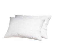 Alpes Blanc - Lot de 2 oreillers 100% plumettes - Accueil Moelleux & Soutien mi-Ferme - Traitement antiacarien - Fabrication française