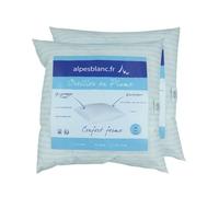 Alpes Blanc - Lot de 2 oreillers 100% plumettes Fabrication française - Accueil Moelleux & Soutien mi-Ferme - Traitement antiacarien