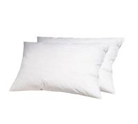 ALPES BLANC - Lot de 2 oreillers plumes 45x70 cm - accueil moelleux & soutien mi-ferme - Antiacarien - Fabrication française